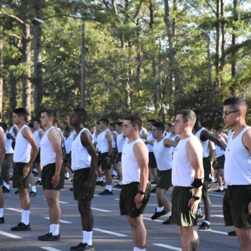 O Que é TFM? Conheça o Treinamento Físico Militar e Seus Benefícios